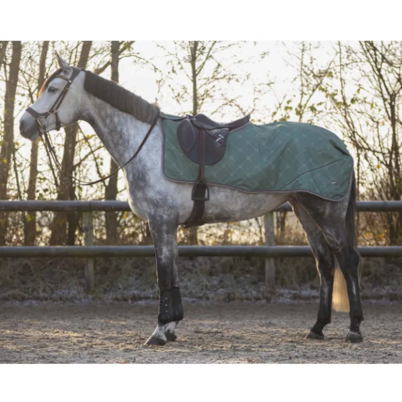 QHP Exercise Sheet Turnout Collection - Stirrup